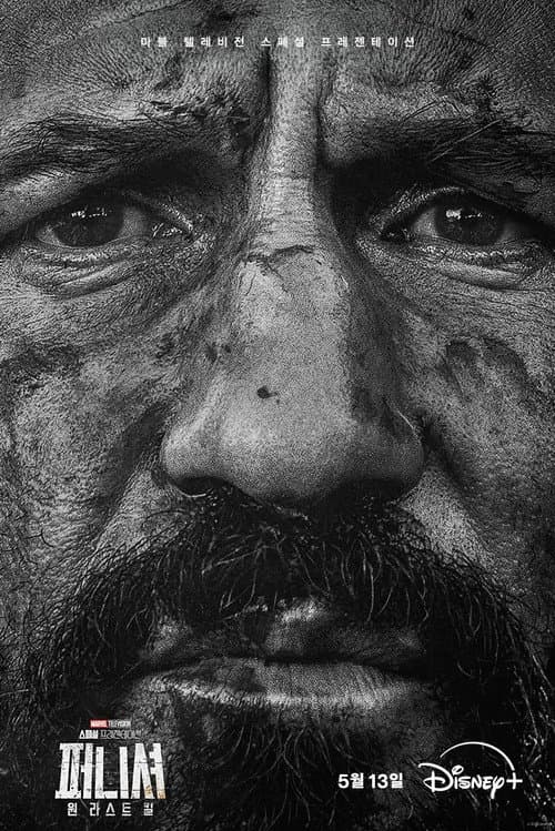 퍼니셔: 원 라스트 킬