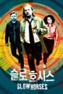슬로 호시스