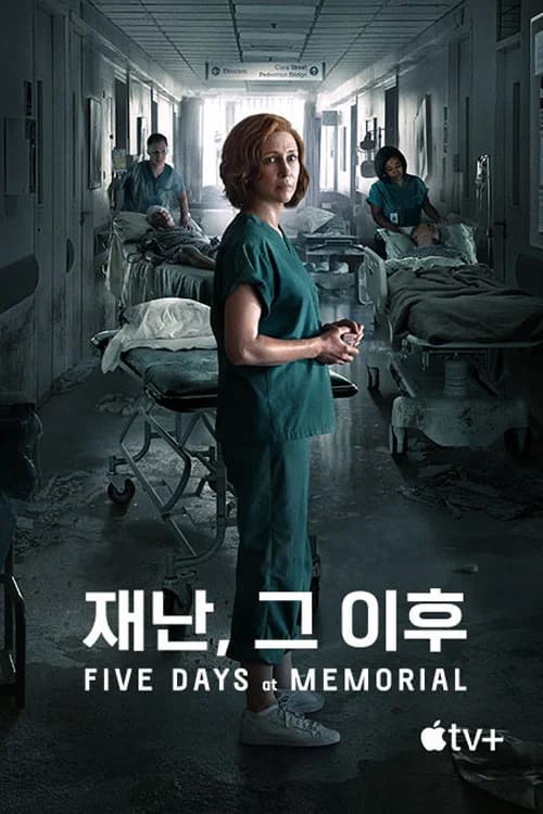 재난, 그 이후
