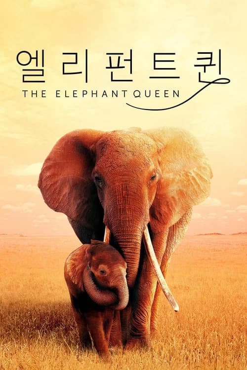 엘리펀트 퀸