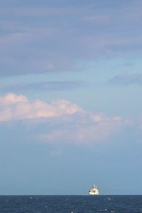 수국
