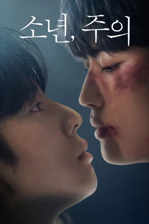 소년, 주의